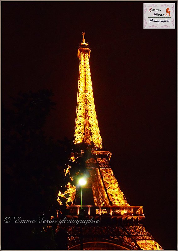 Eiffel Tower shine in the night