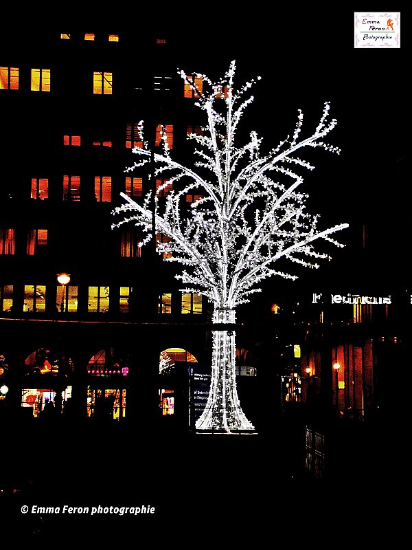 Shine tree in the night
